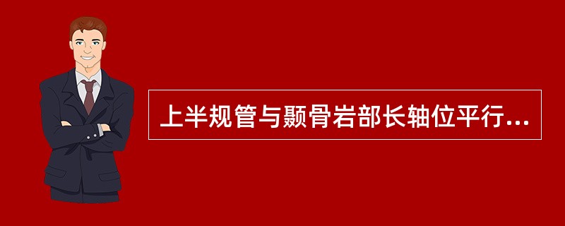 上半规管与颞骨岩部长轴位平行，后半规管与其垂直