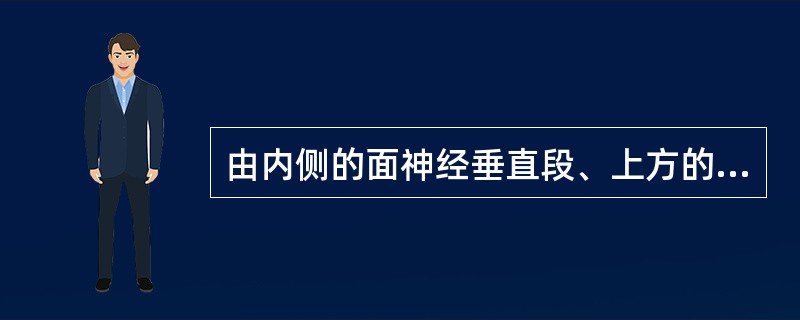 由内侧的面神经垂直段、上方的砧骨窝及外侧的鼓索神经所构成的解剖结构是()