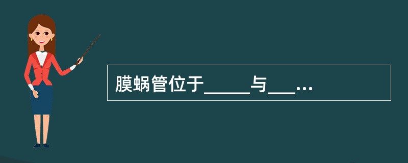 膜蜗管位于_____与_____外壁之间，也在前庭阶与鼓阶之间，内含内淋巴。