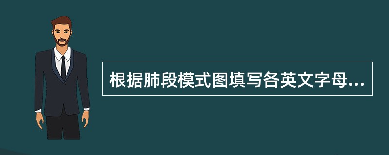 根据肺段模式图填写各英文字母所代表的肺段：左肺：A+B：__________D：