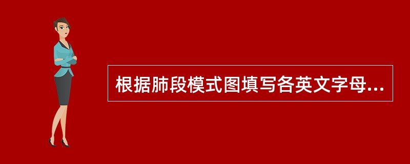 根据肺段模式图填写各英文字母所代表的肺段：左肺：C：___________E：_