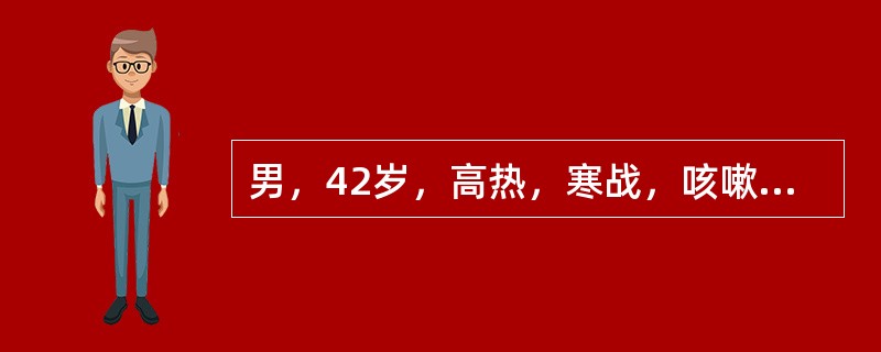 男，42岁，高热，寒战，咳嗽，胸痛1周左右，CT检查如图，最可能的诊断是()