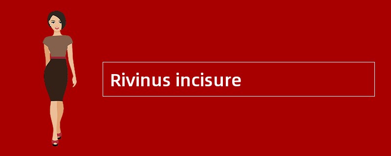 Rivinus incisure