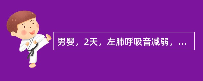 男婴，2天，左肺呼吸音减弱，结合图像，最可能的诊断是()