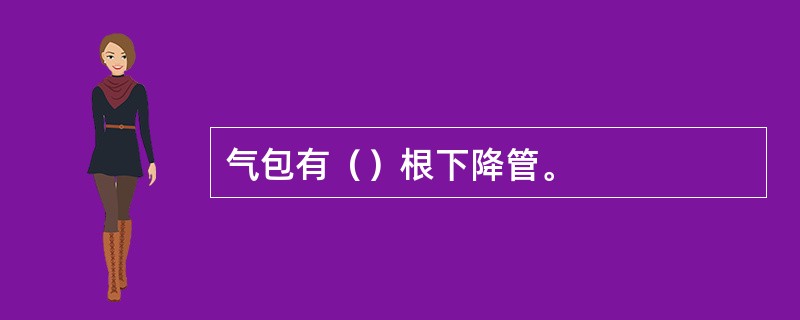 气包有（）根下降管。