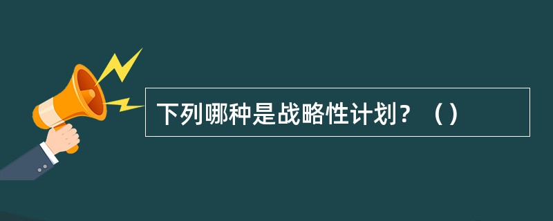 下列哪种是战略性计划？（）