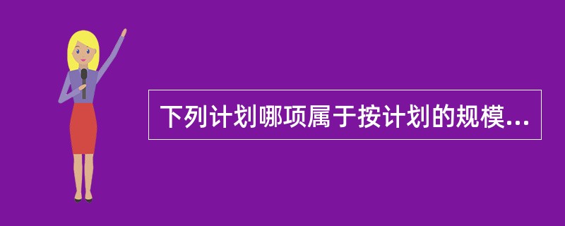 下列计划哪项属于按计划的规模划分的（）。