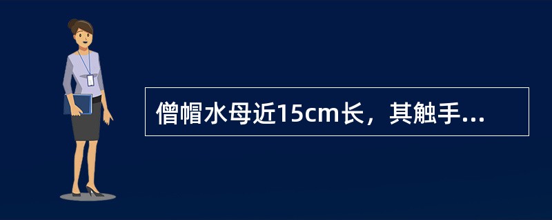 僧帽水母近15cm长，其触手可以延伸到（）开外。