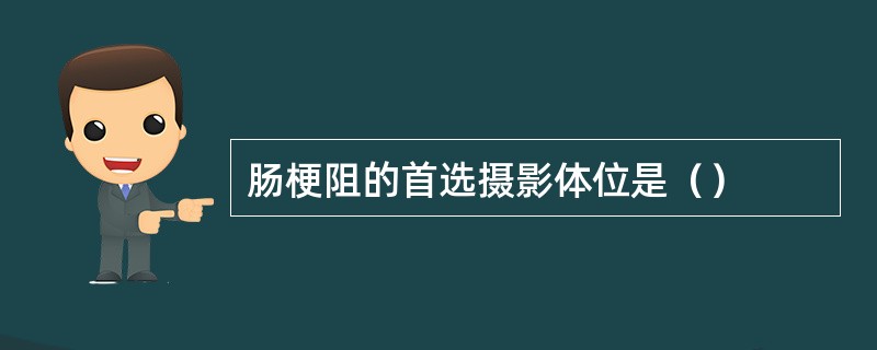 肠梗阻的首选摄影体位是（）