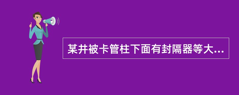 某井被卡管柱下面有封隔器等大直径工具，落物无法通过环空且该落物材质坚硬不易挤碎，