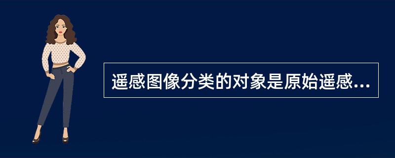 遥感图像分类的对象是原始遥感图像及各种变换之后的图像，采用（）或（）对变量特征空