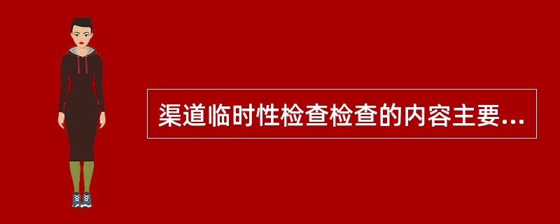 渠道临时性检查检查的内容主要不包括（）。