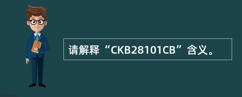 请解释“CKB28101CB”含义。