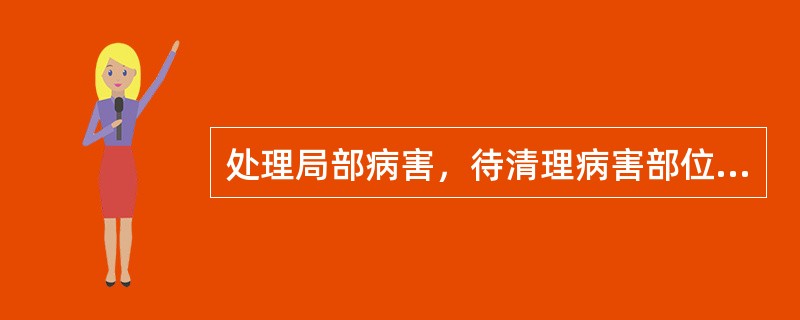 处理局部病害，待清理病害部位后（）。