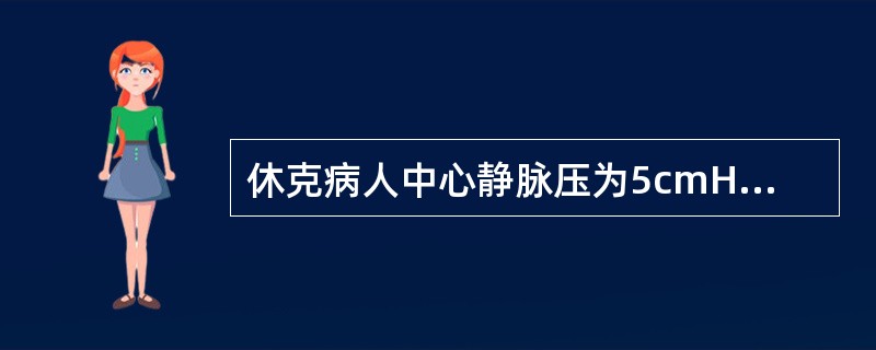 休克病人中心静脉压为5cmH2O，血压80/65mmHg，处理原则为（）