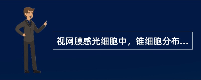 视网膜感光细胞中，锥细胞分布于（），司（）；杆细胞分布于（），司（）。