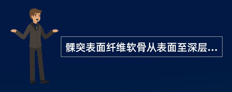 髁突表面纤维软骨从表面至深层的4个带依次为（）