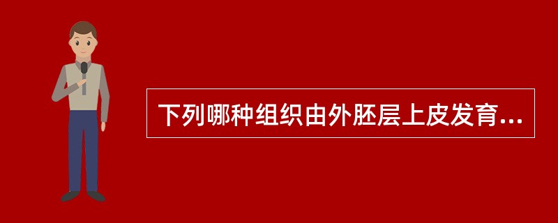 下列哪种组织由外胚层上皮发育而来（）