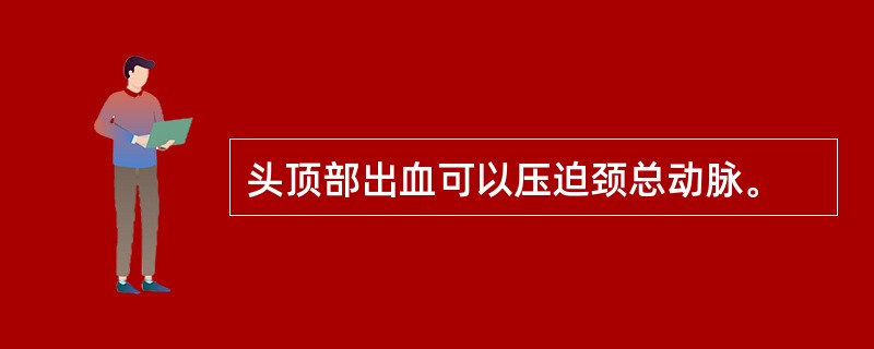 头顶部出血可以压迫颈总动脉。