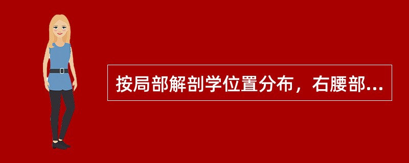 按局部解剖学位置分布，右腰部的正常脏器有（）和右肾。