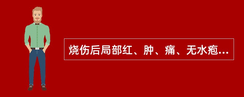 烧伤后局部红、肿、痛、无水疱是（）.