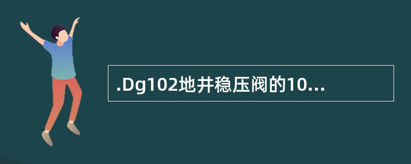 .Dg102地井稳压阀的102表示内径为102英寸。（）