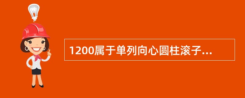 1200属于单列向心圆柱滚子轴承。（）