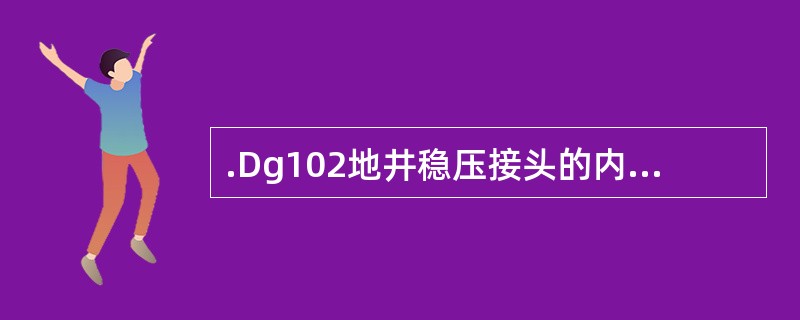 .Dg102地井稳压接头的内半径为102mm。（）