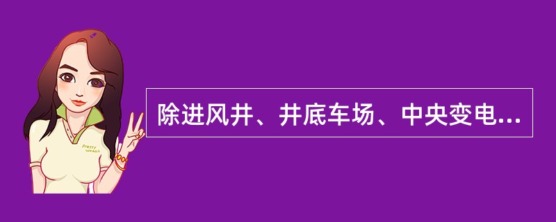 除进风井、井底车场、中央变电所至采区变电所之间外的其他地点都应采用（）