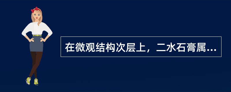 在微观结构次层上，二水石膏属于()。