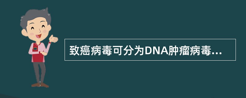 致癌病毒可分为DNA肿瘤病毒和RNA肿瘤病毒两大类。