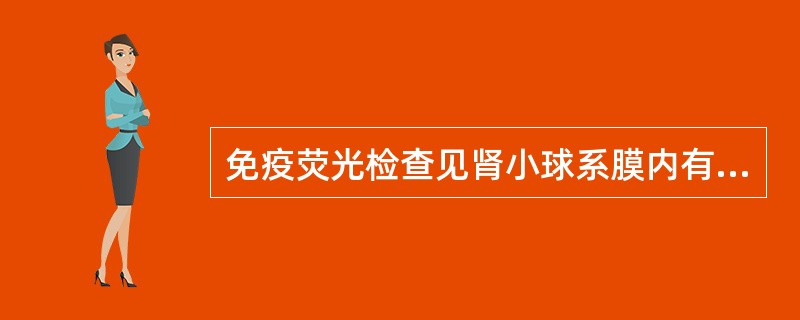 免疫荧光检查见肾小球系膜内有颗粒状荧光分布，不可能为（）