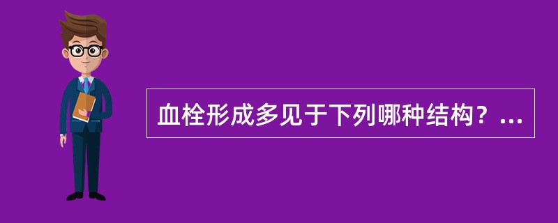 血栓形成多见于下列哪种结构？（）