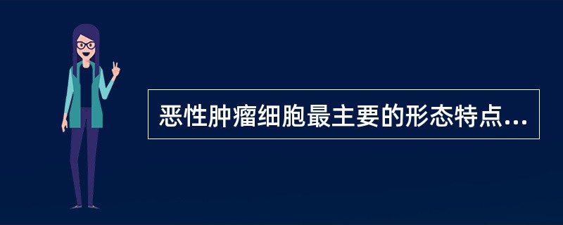 恶性肿瘤细胞最主要的形态特点包括（）。