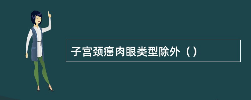 子宫颈癌肉眼类型除外（）