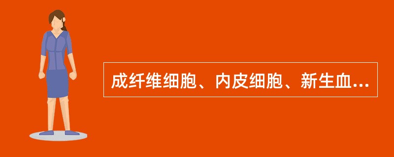 成纤维细胞、内皮细胞、新生血管等共同构成肉芽组织。