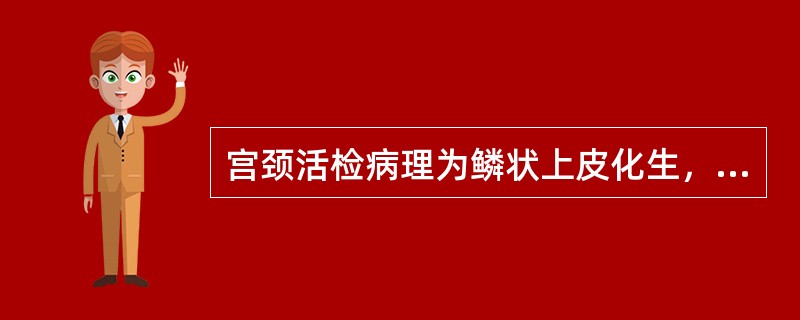 宫颈活检病理为鳞状上皮化生，提示宫颈为（）