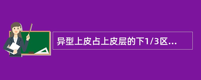 异型上皮占上皮层的下1/3区，属于()基底膜下间质内发现癌组织，属于()慢性子宫