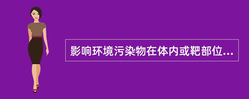 影响环境污染物在体内或靶部位蓄积量的因素是（）。