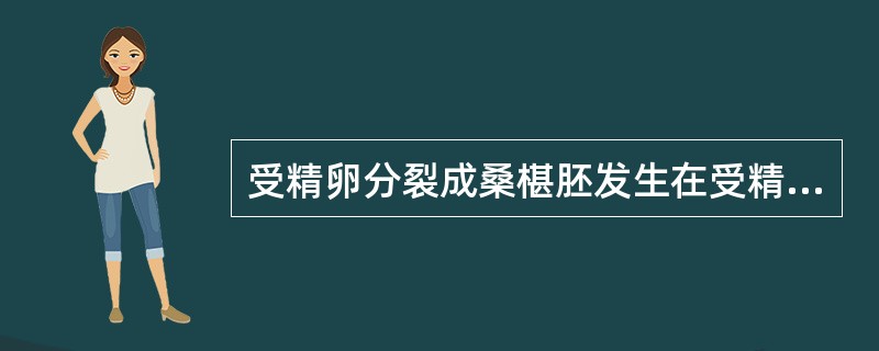 受精卵分裂成桑椹胚发生在受精后（）