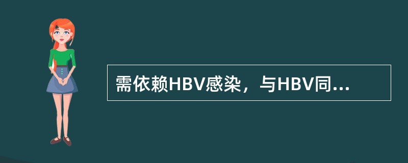 需依赖HBV感染，与HBV同时感染或在乙型病毒性肝炎基础上重叠感染的是（）