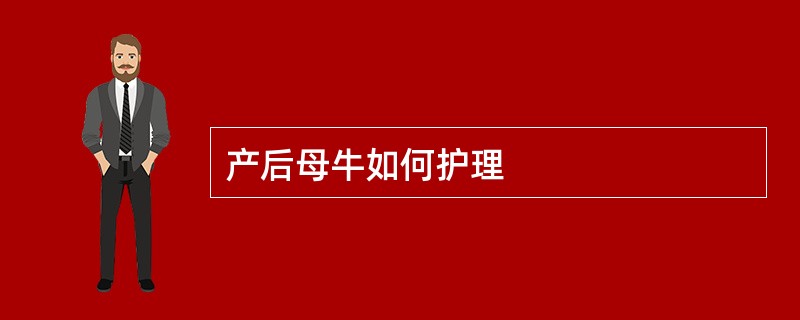 产后母牛如何护理