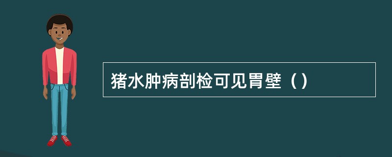 猪水肿病剖检可见胃壁（）