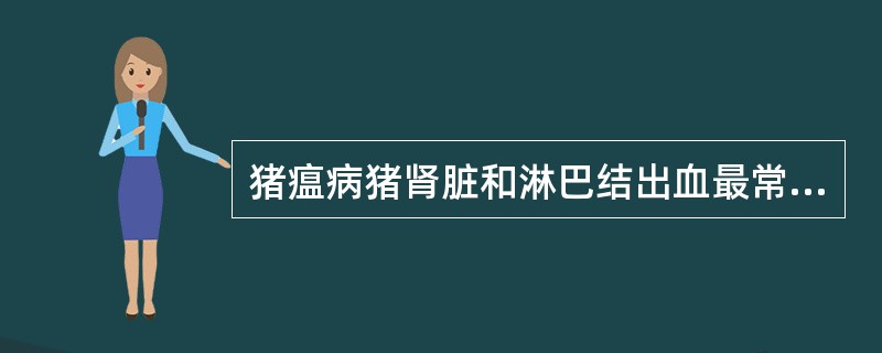 猪瘟病猪肾脏和淋巴结出血最常见，淋巴结边缘出血，断面呈弥散性出血斑。