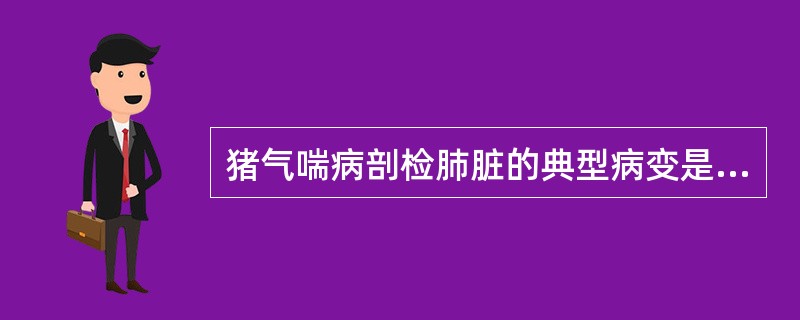 猪气喘病剖检肺脏的典型病变是（）