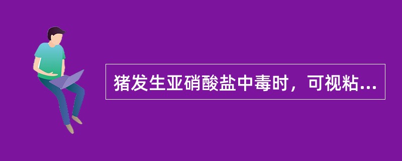 猪发生亚硝酸盐中毒时，可视粘膜颜色表现为发绀（）