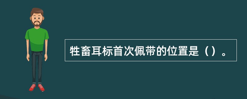 牲畜耳标首次佩带的位置是（）。