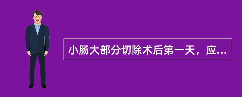 小肠大部分切除术后第一天，应采取哪种营养支持措施（）。