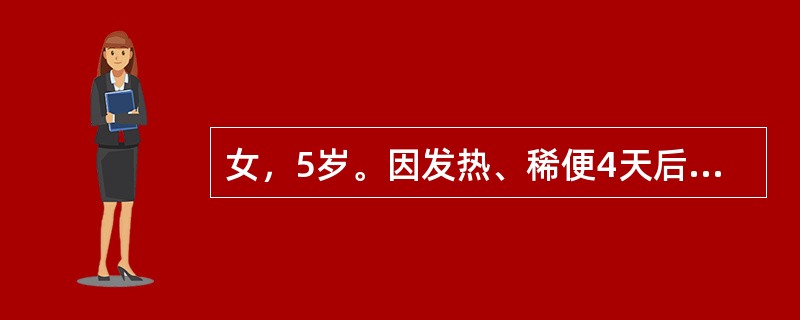 女，5岁。因发热、稀便4天后，昨晚发现右下肢不能行走。体温38℃，神志清，双下肢