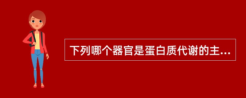 下列哪个器官是蛋白质代谢的主要器官（）